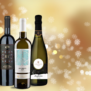 12 bottigilie di grandi vini + 3 di Spumante a un grande prezzo