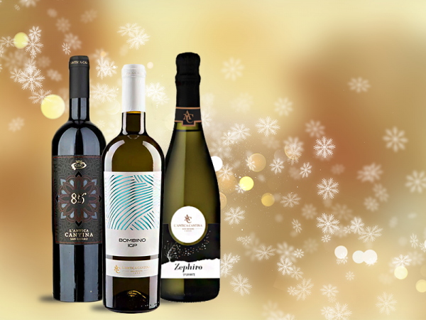 12 bottigilie di grandi vini + 3 di Spumante a un grande prezzo