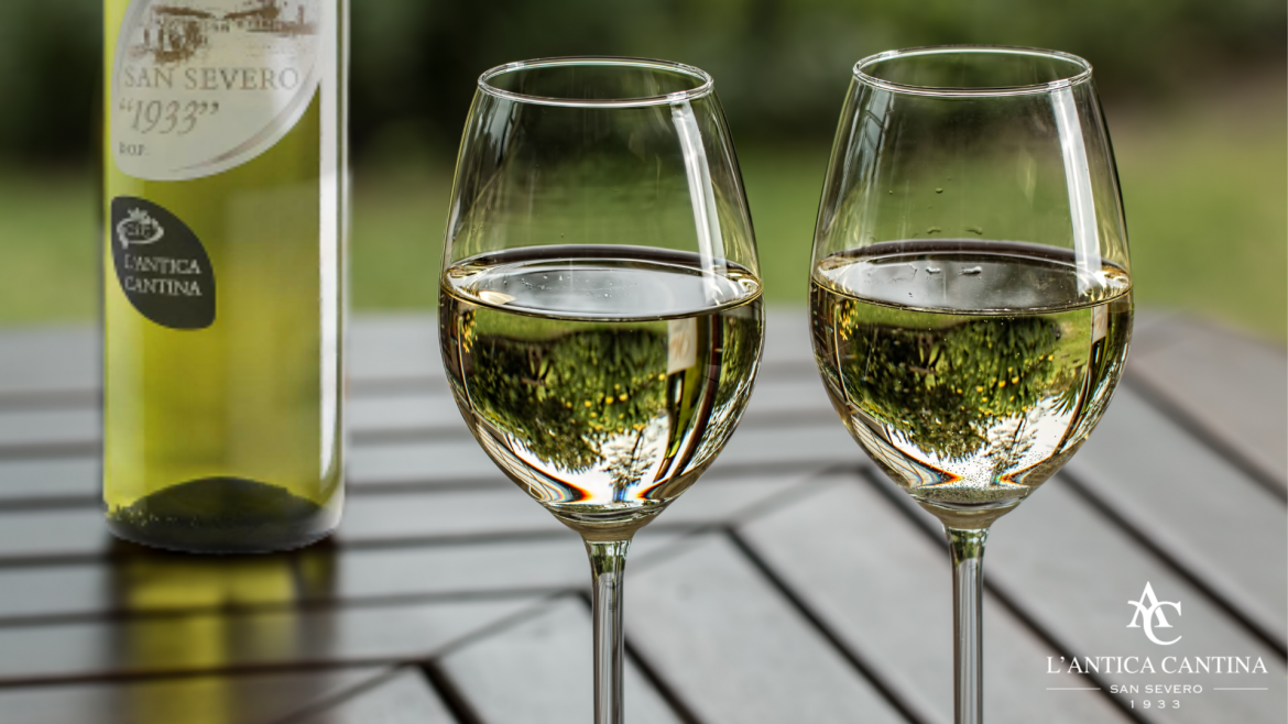 1933 Bianco: un vino che unisce la tradizione del vitigno Bombino e Trebbiano.