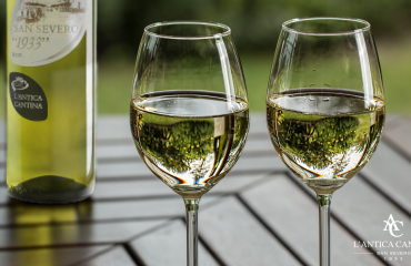 1933 Bianco: un vino che unisce la tradizione del vitigno Bombino e Trebbiano.